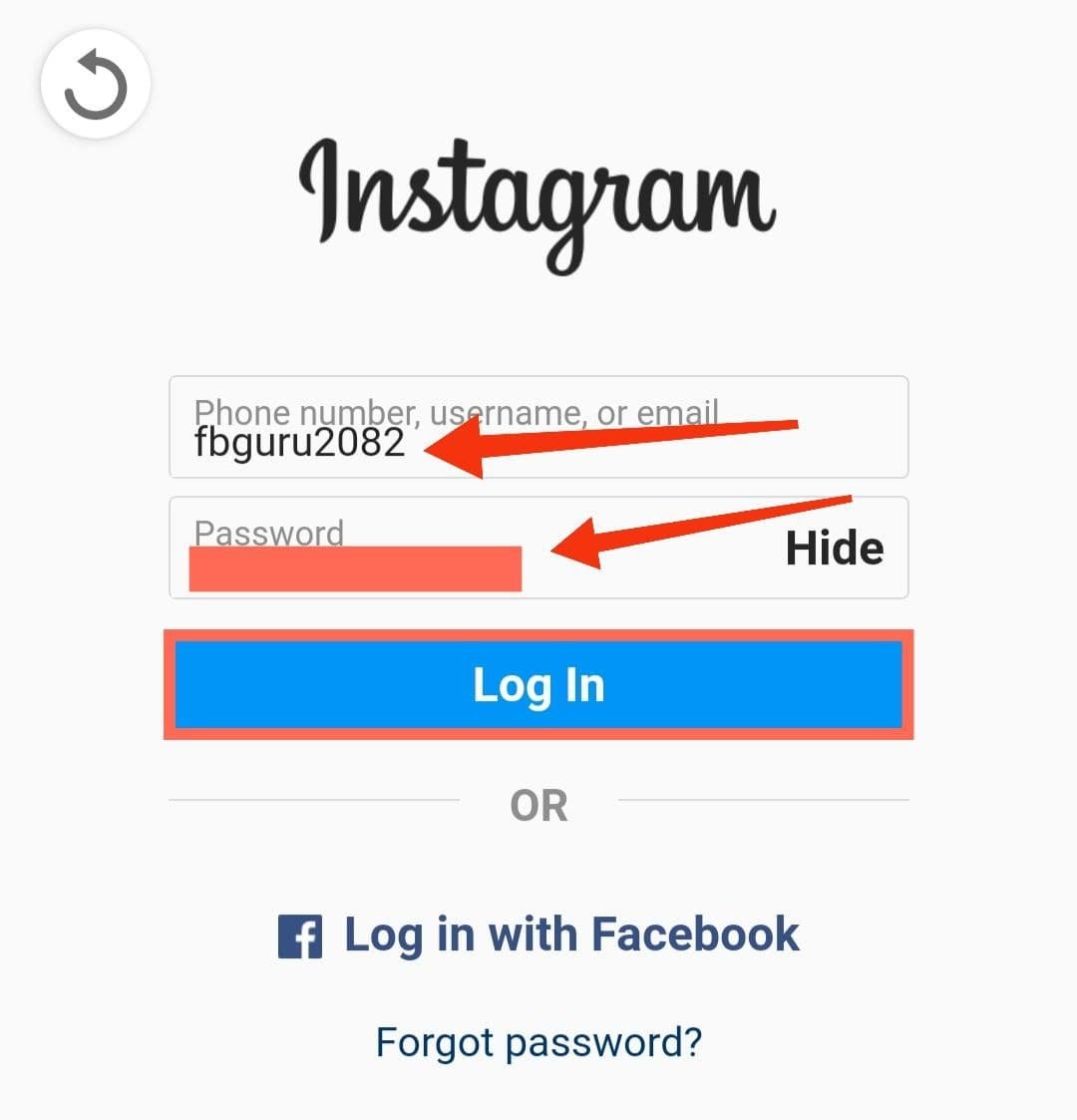 Login Into Your Fake Account
